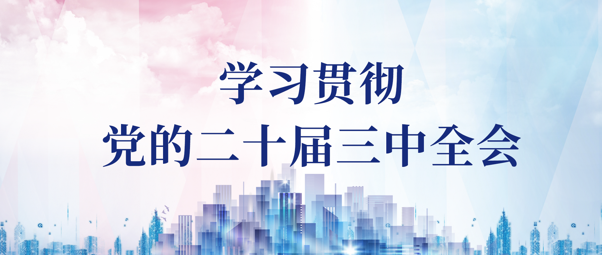津投資本黨委召開黨建工作交流會暨中期工作推動會