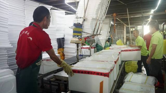 日配全國(guó)70噸！九江魚興港預(yù)制菜解鎖魚的N種吃法，讓鮮魚“游”上百姓餐桌